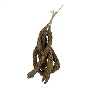 Prestige Trosgierst 300 gram