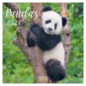 Kalender - 2024 - Panda's - 30x30cm