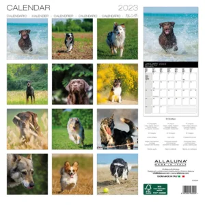 Kalender - 2023 - Dogs - Honden - 30x30cm