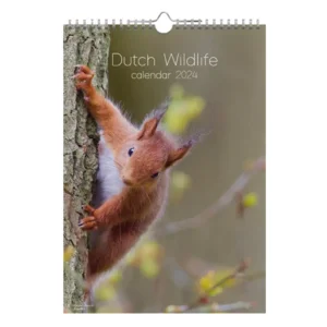Maand kalender - 2024 - Dutch wildlife - 23,5x33,5cm
