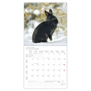 Kalender - 2026 - Konijnen - 30x30cm