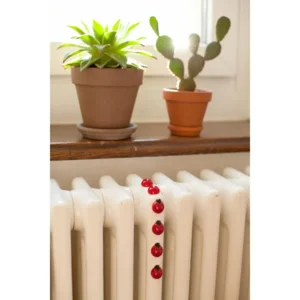 Trendform Magneten Lieveheersbeestjes Set van 6 Stuks