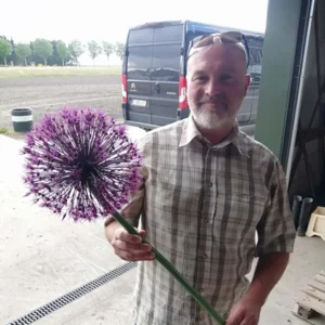 Allium Universe