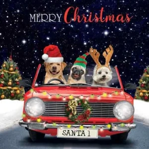 Kaart - Kerst - Tracks - Hondjes in auto - XS502A
