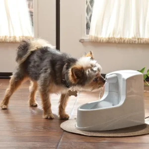 Mini Pet Fountain - 1.2 L