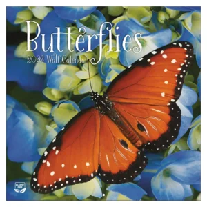 Kalender - 2024 - Vlinders - 30,5x30,5cm