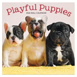 Kalender - 2026 - Speelgrage puppies - 30x30cm