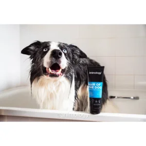 Animology Hair Of The Dog Anti-Tangle Dog Shampoo 250 ml