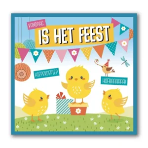 Kaart - Muziek - Vandaag is het feest, hieperdepiep hoeraaaaaa! - 035