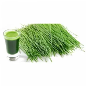 Purasana Tarwegras (juice) - Wheat grass raw powder 200 gram