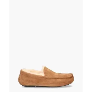 Ugg Ascot Bruin Herenpantoffels