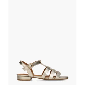 Di Lauro Desiree Goud Damessandalen