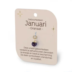 Gouden Charm - Geboortesteen - Januari
