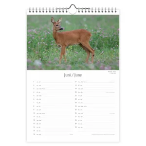 Maand kalender - 2024 - Dutch wildlife - 23,5x33,5cm