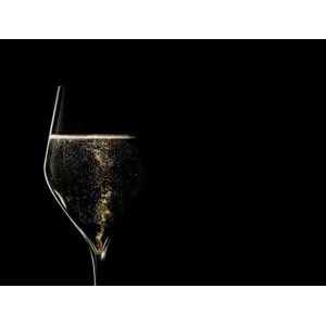 Champagneglazen Absolus 20 | Kristal | 20cl