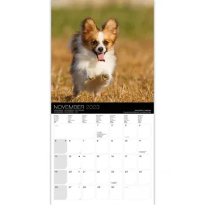 Kalender - 2023 - Dogs - Honden - 30x30cm