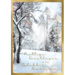 Kaarten - Kerst - Hangpak - Sneeuw in bos - 10st. - HPK.1033