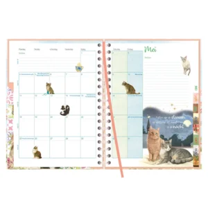 Bureau agenda - 2026 - Harde kaft - Franciens katten - Nacho - 17,6x23,8cm