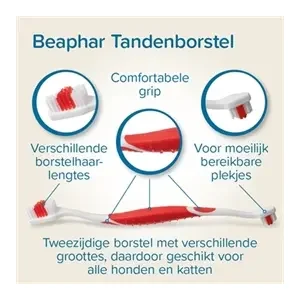 Beaphar Tandpasta En Borstel Combi-Pack
