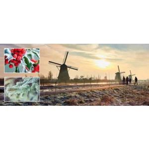 Kaarten - Kerst - Winter wonderland - 2x5st. - WN.3001