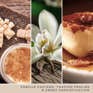 Vanilla Crème Brûlée - Wax Melt