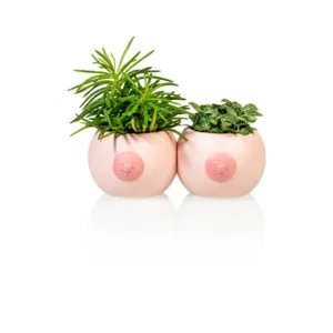 Bitten Design Bloempot set van 2 Boob Roze