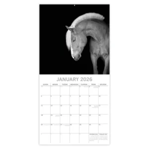 Kalender - 2026 - Horse portraits - 30x30cm