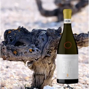 Bodegas Piqueras GEN ONE Blanco