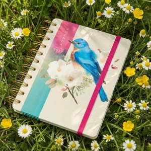 Agenda - Roodborstlijster - 2027 - 04-AGE.CO.2702-2