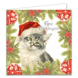 Kaarten - Kerst - Franciens katten - Hulst & Denneboom - 10st.