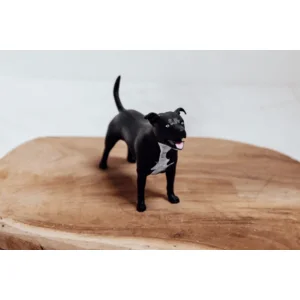 3D Print van je huisdier