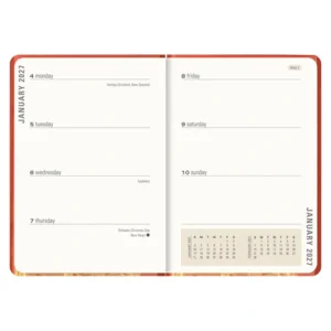 Agenda - 2027 - Compact - 16 maanden - Oranje elfje - 12,7x17,8cm