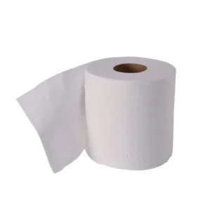 Ecologisch toiletpapier 2-laags wit