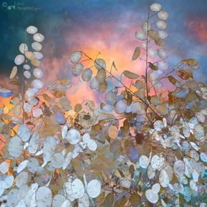 Verjaardagskalender - Stillness - Saskia Boelsums - 21x30cm