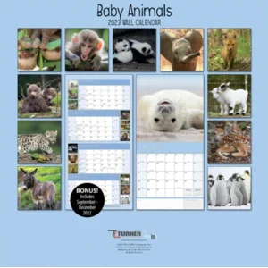 Kalender - 2023 - Baby animals - 30,5x30,5cm