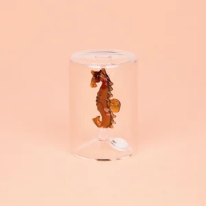 Balvi Zoutstel Zeepaard Amber Glas