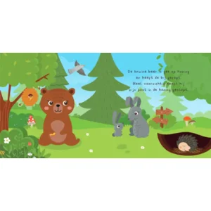 Boek + 20 memory kaarten - Kun je mij vinden? - In het bos