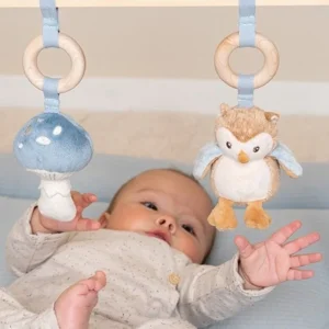 Babygym - Forest Friends - Blauw - Hout