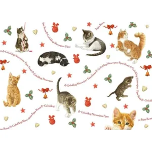 Kaart - Kerst - JBS - Fijne kerst & gelukkig nieuwjaar - KSF052
