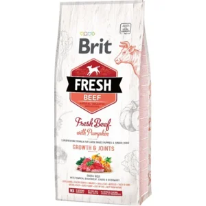 Brit Fresh Beef & Pumpkin Puppy Large Breed 12 kg - Hond