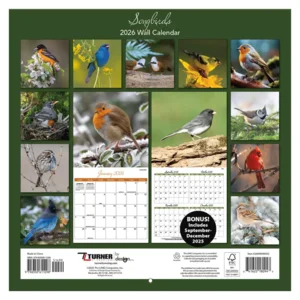 Kalender - 2026 - Zangvogels - 30x30cm