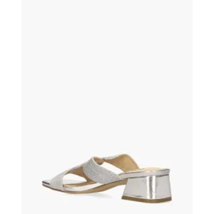Lisa & Jo Warish Zilver Damesslippers