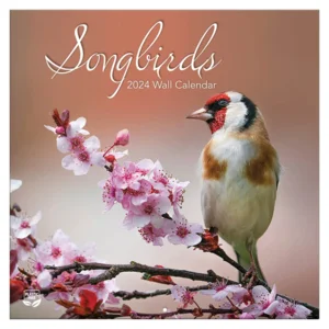 Kalender - 2024 - Zangvogels - 30,5x30,5cm