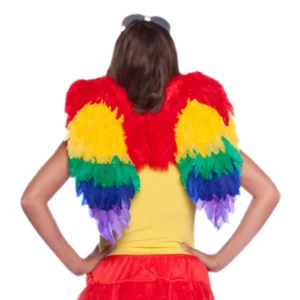 Vleugels - Regenboog - Met veren - 50x50cm