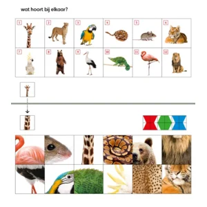 Mini - Pakket - Starterspakket