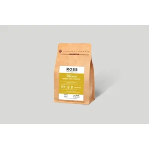 37/77 MEXICO SIERRA AZUL CHIAPAS