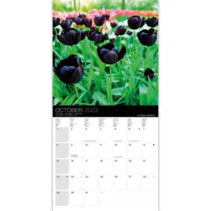 Kalender - 2023 - Tulpen - 30x30cm
