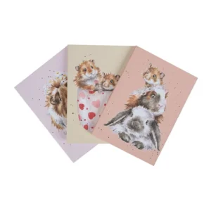 Set 3 Notebooks - Whiskers & Paws