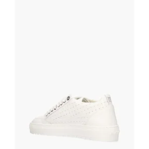 Mason Garments Tia Bardolino 7D Herensneakers