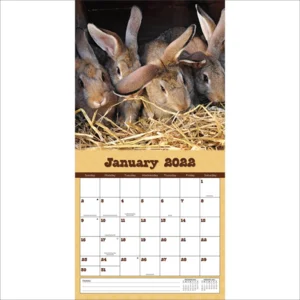 Kalender - 2022 - Op de boerderij - 30x30cm